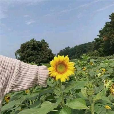 【境内疫情观察】江苏新增12例本土病例（7月23日）